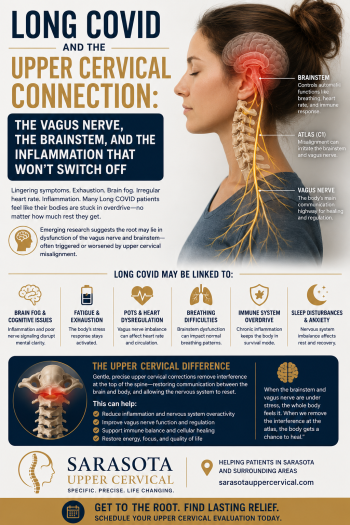 Long COVID and the Upper Cervical Connection: The Vagus Nerve, the Brainstem, and the Inflammation That Won't Switch Off