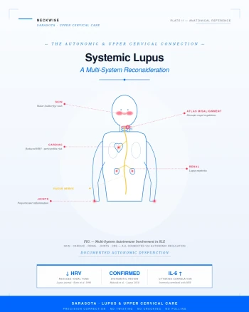 Lupus Treatment Support in Sarasota | The Autonomic and Upper Cervical Connection