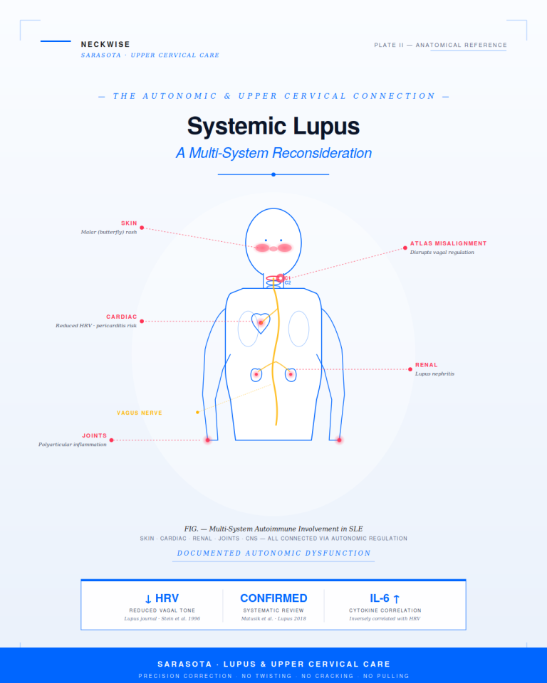 Lupus Treatment Support in Sarasota | The Autonomic and Upper Cervical Connection