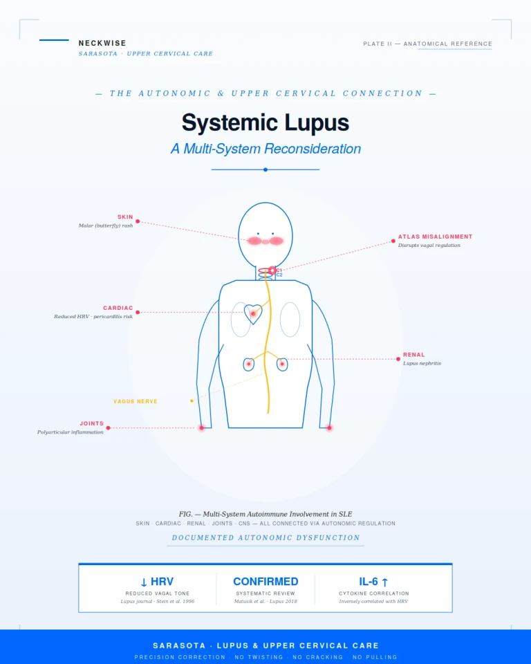Lupus Treatment Support in Sarasota | The Autonomic and Upper Cervical Connection